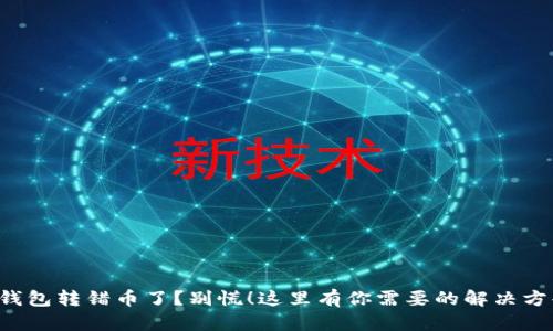 TP钱包转错币了？别慌！这里有你需要的解决方案！