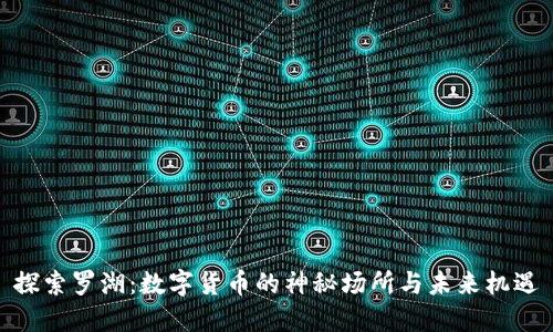 探索罗湖：数字货币的神秘场所与未来机遇