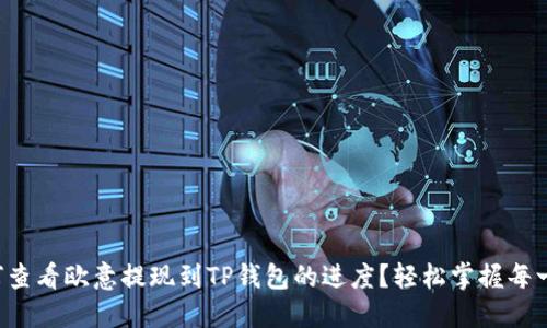 如何查看欧意提现到TP钱包的进度？轻松掌握每一步！