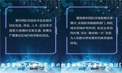 数字货币与土地购买：新兴投资机会还是未来的泡沫？