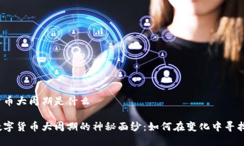 数字货币大周期是什么

揭开数字货币大周期的神秘面纱：如何在变化中寻找机会？