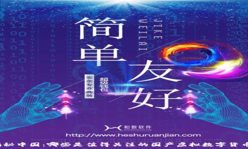  
揭秘中国：哪些是值得关注的国产虚拟数字货币？