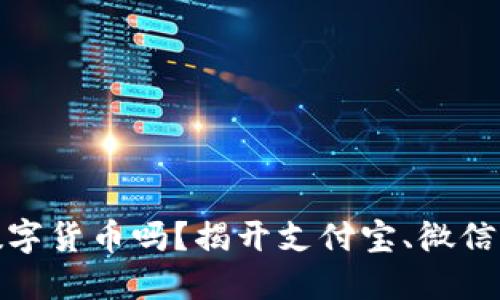 微信里的钱是数字货币吗？揭开支付宝、微信支付背后的秘密