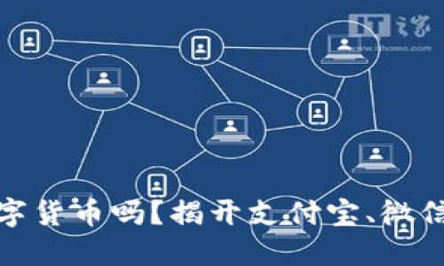 微信里的钱是数字货币吗？揭开支付宝、微信支付背后的秘密