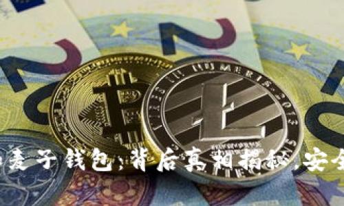 TP钱包和麦子钱包：背后真相揭秘，安全性如何？