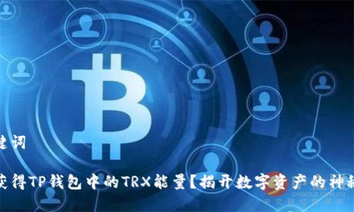 和关键词

如何获得TP钱包中的TRX能量？揭开数字资产的神秘面纱