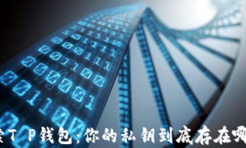 
探索T P钱包：你的私钥到底存在哪里？