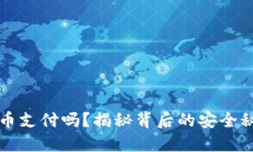 你敢用数字货币支付吗？揭秘背后的安全秘密与风险防范