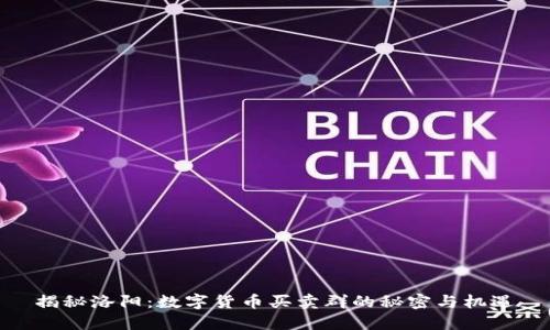 揭秘洛阳：数字货币买卖群的秘密与机遇