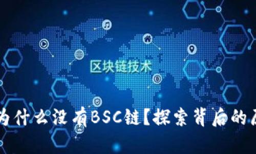 电脑版TP钱包为什么没有BSC链？探索背后的原因与解决方案