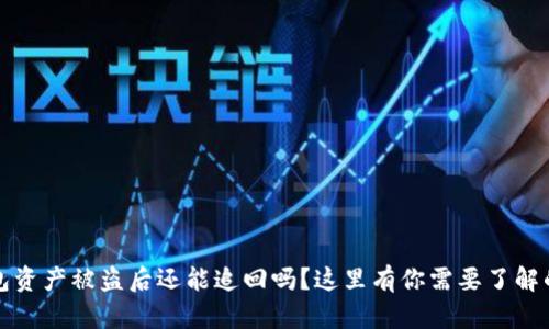 TP钱包资产被盗后还能追回吗？这里有你需要了解的一切