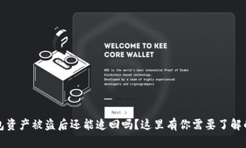 TP钱包资产被盗后还能追回吗？这里有你需要了解的一切