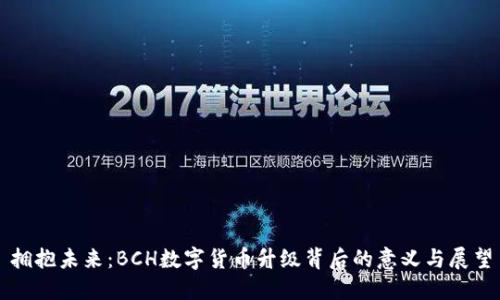 拥抱未来：BCH数字货币升级背后的意义与展望