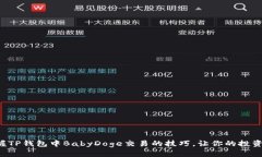 轻松掌握TP钱包中BabyDoge交易的技巧，让你的投资