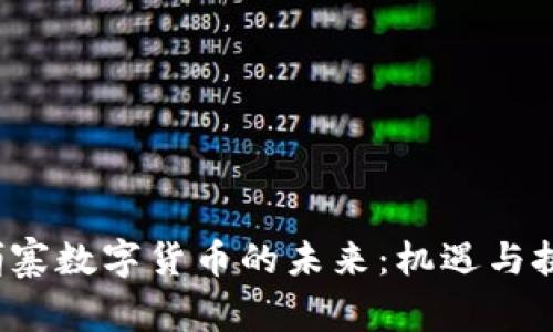 探索柬埔寨数字货币的未来：机遇与挑战并存！