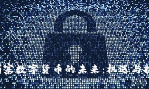 探索柬埔寨数字货币的未来：机遇与挑战并存！
