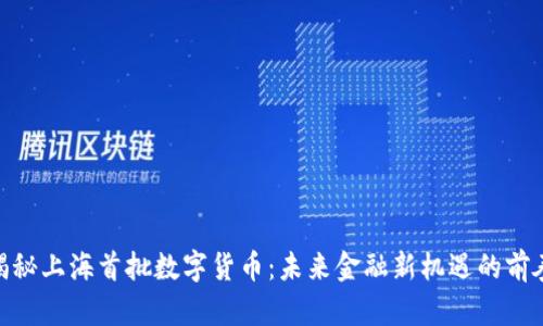 揭秘上海首批数字货币：未来金融新机遇的前奏