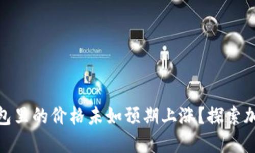 为什么SHIB在TP钱包里的价格未如预期上涨？探索加密市场背后的秘密！