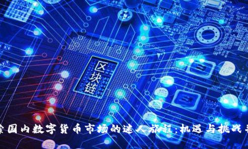探索国内数字货币市场的迷人旅程：机遇与挑战并存