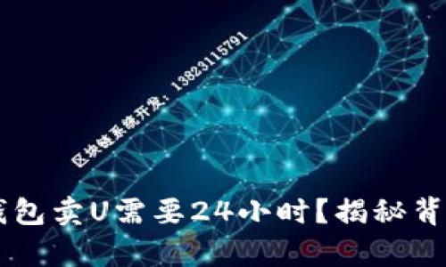 为什么TP钱包卖U需要24小时？揭秘背后真实原因