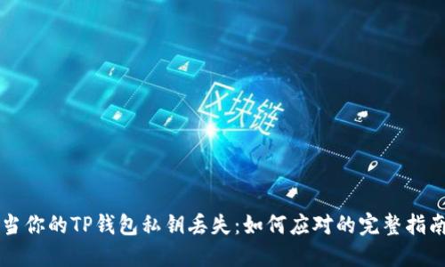 当你的TP钱包私钥丢失：如何应对的完整指南