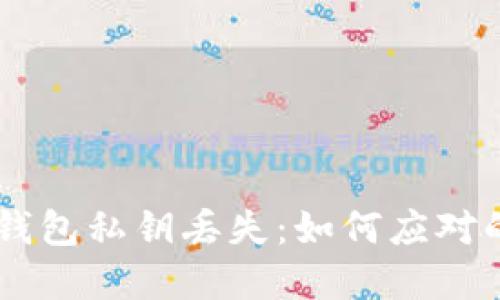 当你的TP钱包私钥丢失：如何应对的完整指南