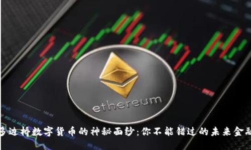 揭开多边桥数字货币的神秘面纱：你不能错过的未来金融新宠
