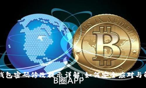 TP钱包密码修改提示详解：如何安全应对与解决