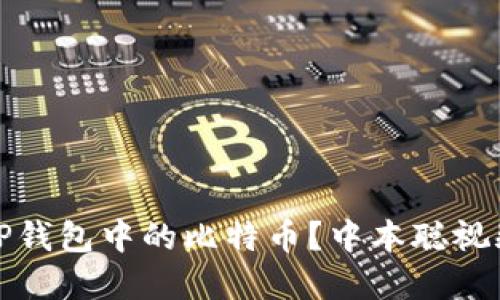 如何安全便捷地提取TP钱包中的比特币？中本聪视频教程带你一步步操作