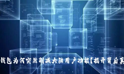 TP钱包为何突然削减大陆用户功能？揭开背后真相