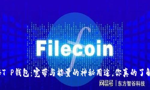 揭秘T P钱包：宽带与能量的神秘用途，你真的了解吗？