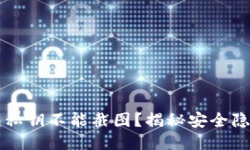 为什么TP钱包私钥不能截图？揭秘安全隐患与保护技巧