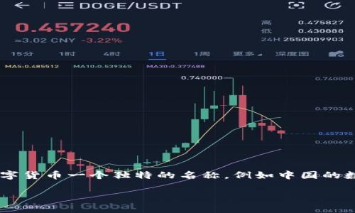 央行发行的数字货币通常被称为“中央银行数字货币”，简称 CBDC（Central Bank Digital Currency）。每个国家或地区的央行可能会给其数字货币一个独特的名称，例如中国的数字人民币（DC/EP）、欧洲央行的数字欧元等。这些数字货币旨在提高支付系统的效率，促进金融普惠，同时也能够帮助央行更好地控制货币政策。

如果你需要更详细的信息或进一步的讨论，请告知！