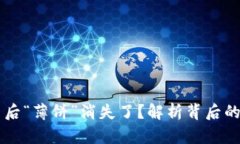 为何TP钱包更新后“薄饼”消失了？解析背后的原