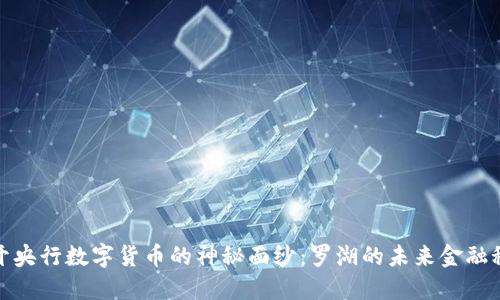 揭开央行数字货币的神秘面纱：罗湖的未来金融秘境