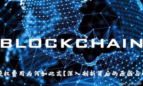 TP钱包授权费用为何如此高？深入剖析背后的原因与解决方案