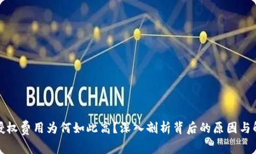 TP钱包授权费用为何如此高？深入剖析背后的原因与解决方案