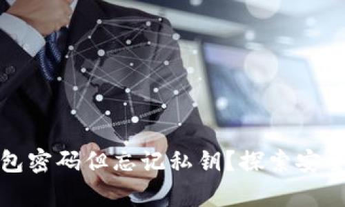 如何找回TP钱包密码但忘记私钥？探索安全恢复的可能性
