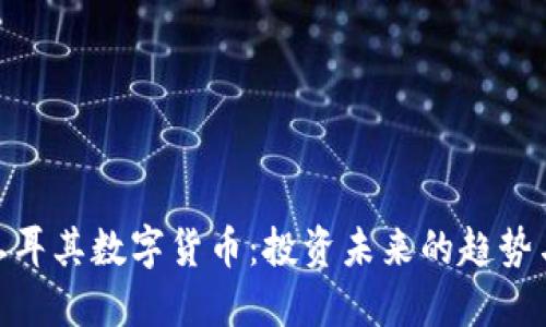 探索土耳其数字货币：投资未来的趋势与机遇