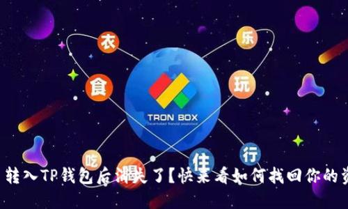 猪币转入TP钱包后消失了？快来看如何找回你的资产！