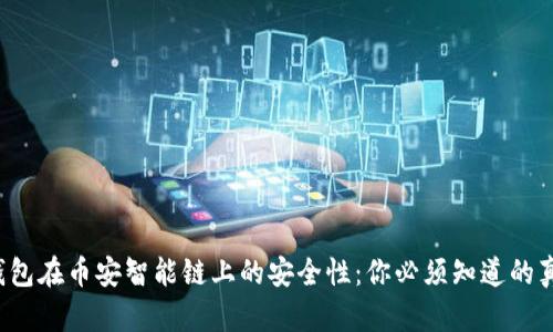 TP钱包在币安智能链上的安全性：你必须知道的真相！