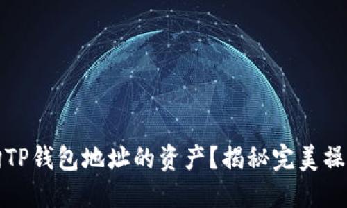 如何轻松查询TP钱包地址的资产？揭秘完美操作步骤与技巧