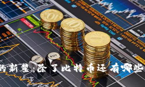数字货币世界中的新星：除了比特币还有哪些值得关注的币种？