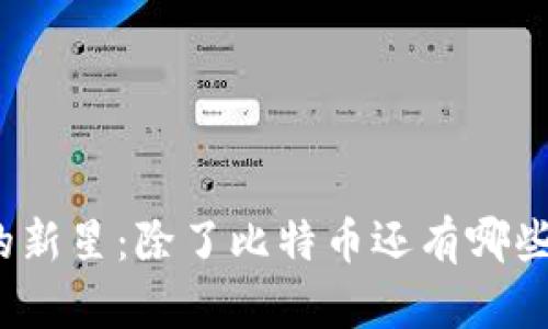 数字货币世界中的新星：除了比特币还有哪些值得关注的币种？
