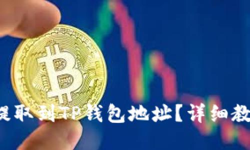 如何将FIL币提取到TP钱包地址？详细教程与技巧分享