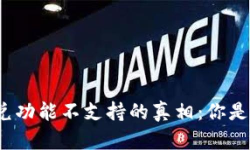 探索TP钱包闪兑功能不支持的真相：你是否也曾遇到过？