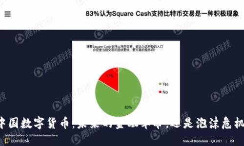 中国数字货币：未来的金融革命，还是泡沫危机？