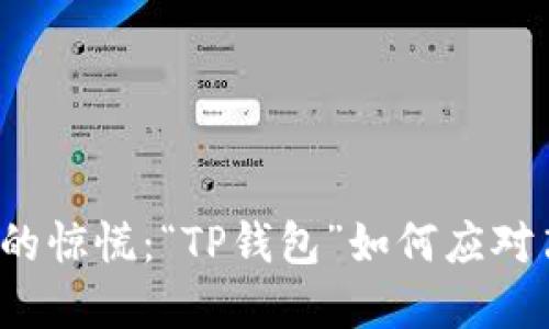 失去网络的惊慌：“TP钱包”如何应对离线转账？