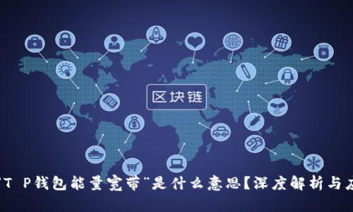 ### “T P钱包能量宽带”是什么意思？深度解析与应用场景