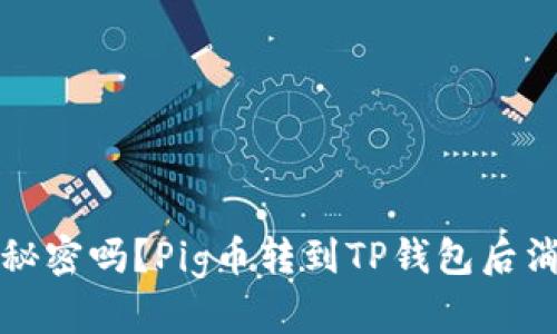你的钱包藏着秘密吗？Pig币转到TP钱包后消失的背后真相